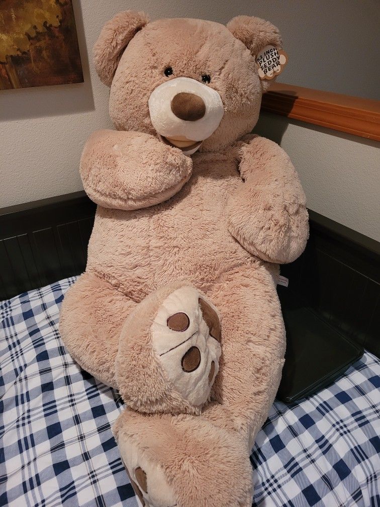 Teddy Bear