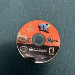 Nintendo GameCube Ty the Tasmanian Tiger Tested