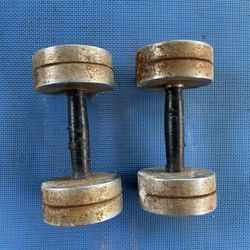 A Pair of Dumbbells - 20lbs