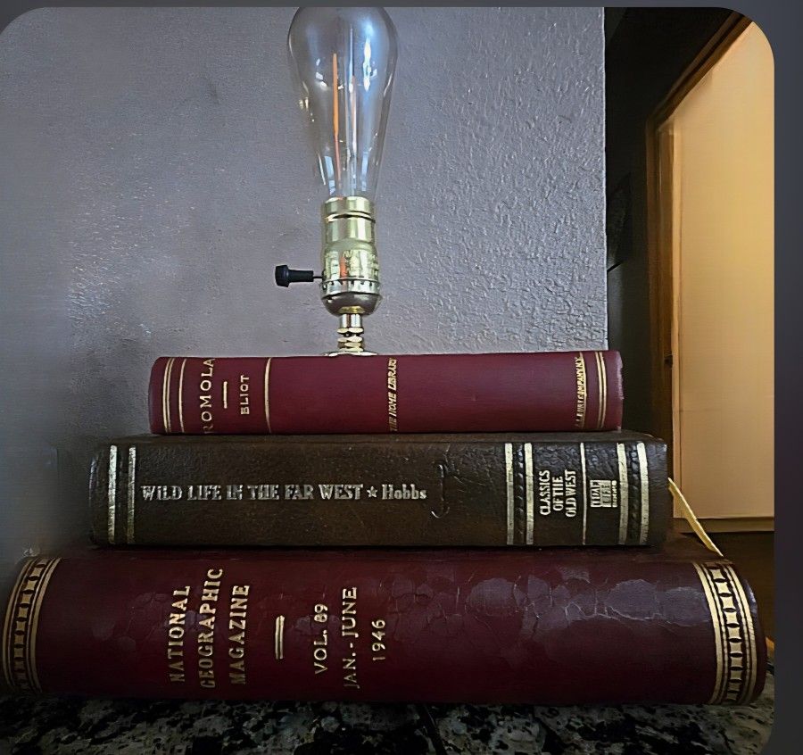 Vintage Classical Book Lamp With Edison Light Bulb