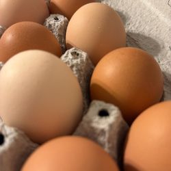 Fresh Farm Eggs 