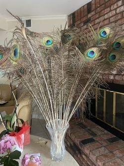 peacock feathers