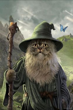 Catdalf Wall Poster 24"×36"
