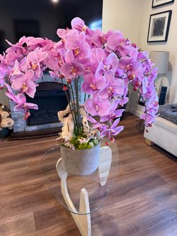 Large Pink Orchid Floral Arrangement in Pot