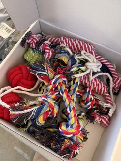 Dog Chew Toys