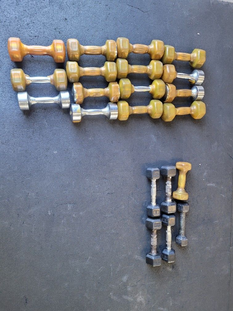 Dumbbells & Weight Rack