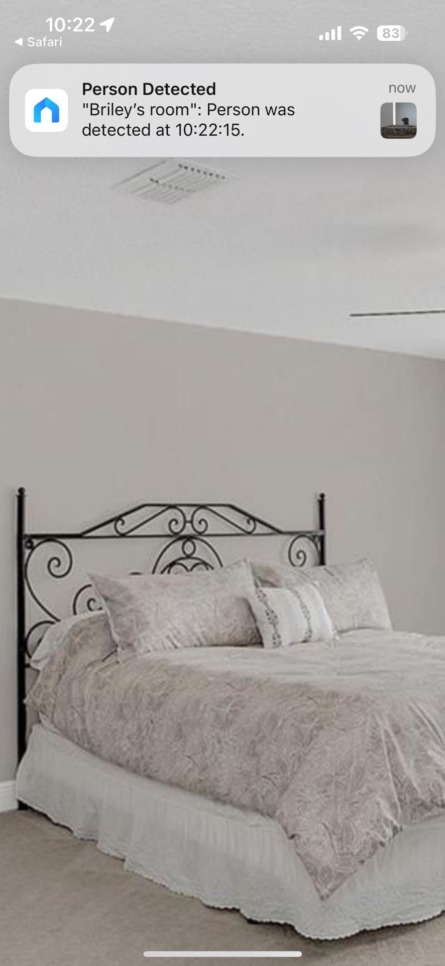 King Metal Headboard