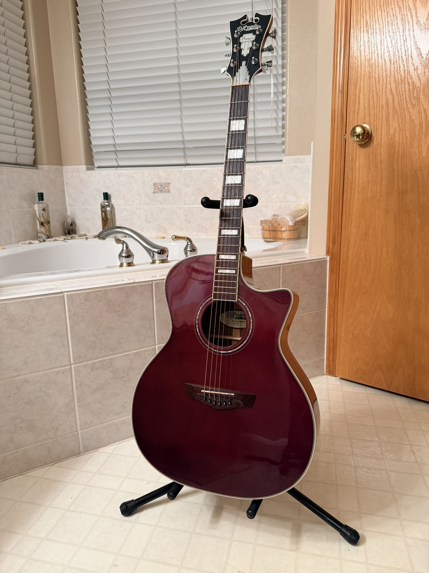 Acoustic Electric Guitar