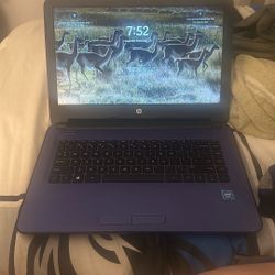 Hp Laptop 