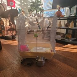Bird Cage 