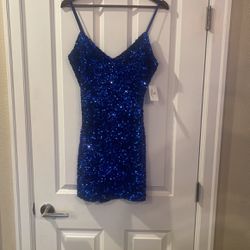 NWT Windsor Party Dress