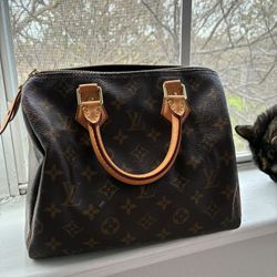 LV Speedy 25