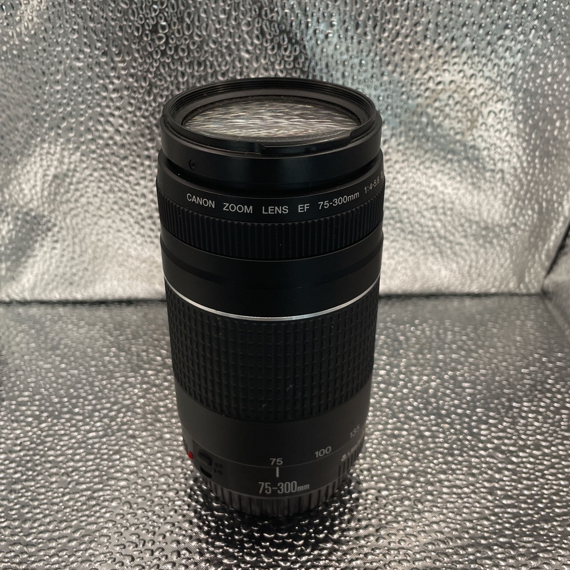 Canon Zoom Lens 75-300mm