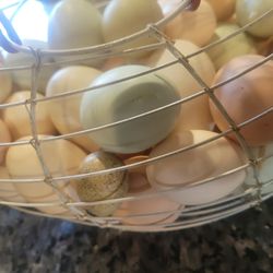 Organic fresh Chicken Eggs 🥚