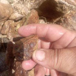 Garnets Crystals Specimens $5 To $250 A Stone 