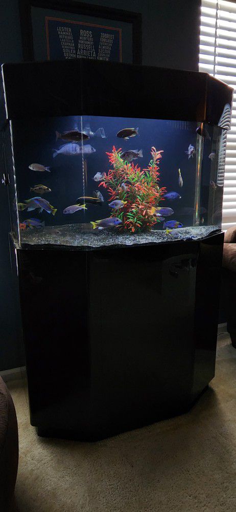 Fish Tank Acryllic