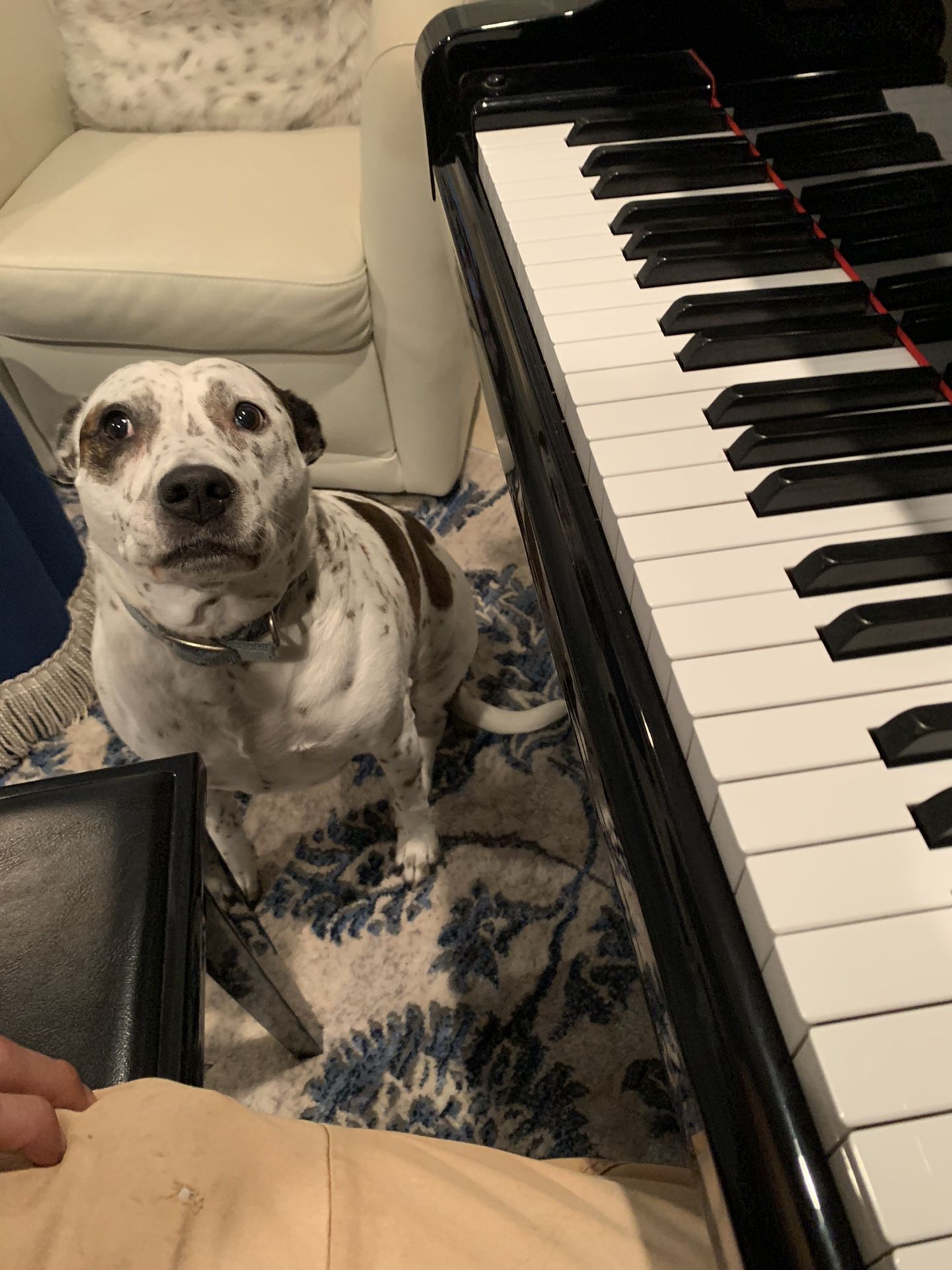 Piano Lessons