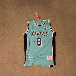 Blue and Purple Kobe Mamba Jersey