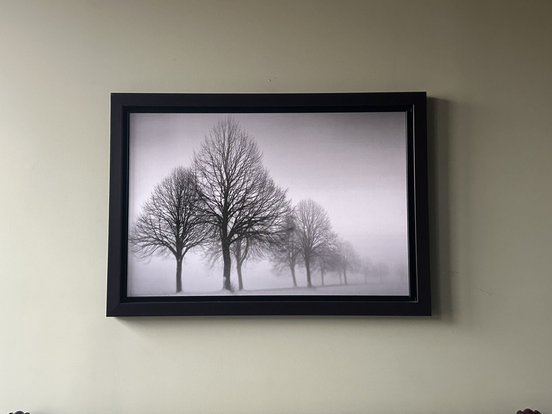 Trees Tree Artwork Giant Picture Art