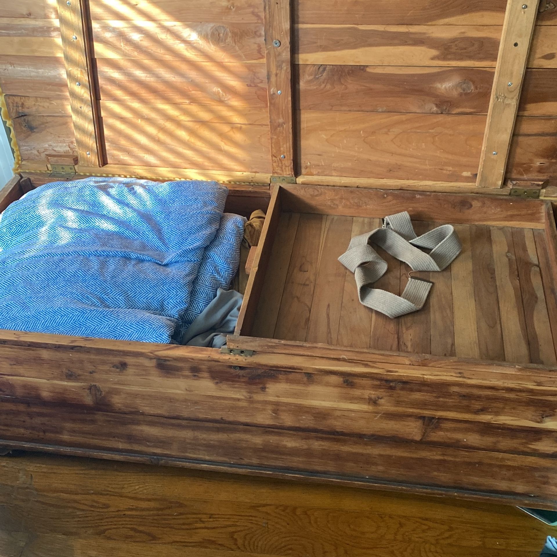 Cedar Trunk Large
