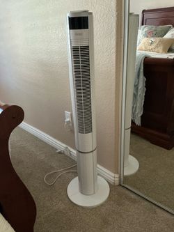 Fan