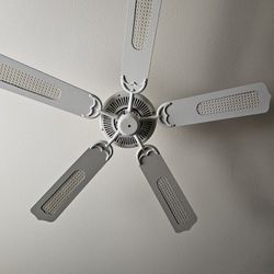 Ceiling Fans