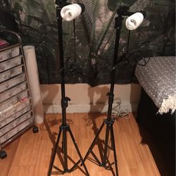 Photography Light Kit For Indoor Photos Or Videos