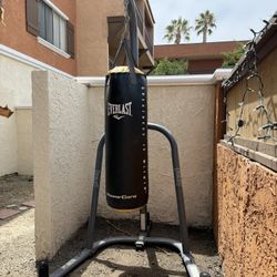 Everlast Punching Bag