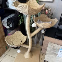 Brand New Cat Scratcher Toy 