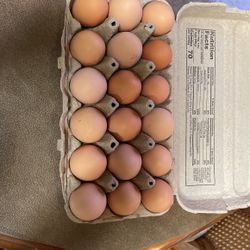 Fresh Eggs / Se Vende Huevos Frescos $8 For Every Dozen/ $8 La Docena 
