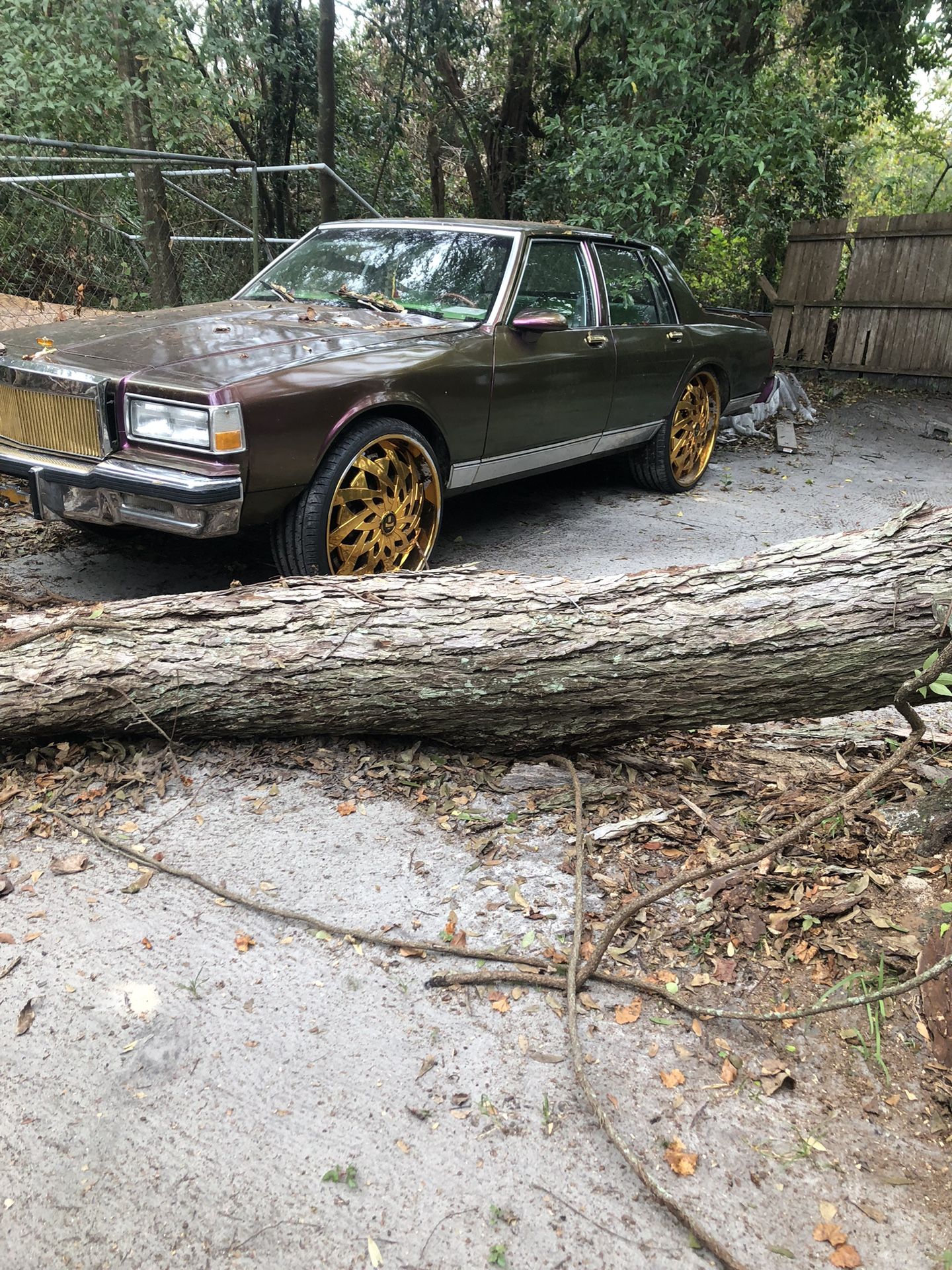 Chevy Caprice For Sale