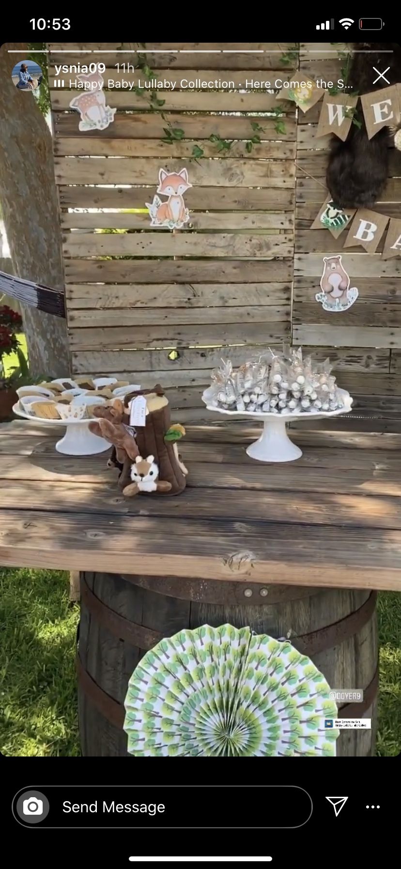 Party Decor /supplies