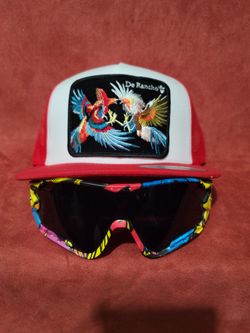 Hat With Sunglasses NEW