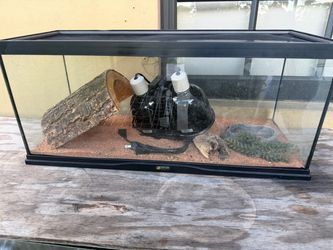Zoo med terrarium