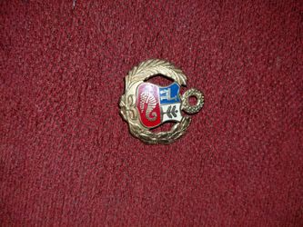 Vintage Enamel Coat of Arms Pin Badge