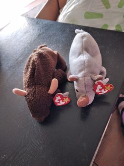 Roam And Spike Beanie Babies