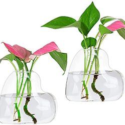 Ivolador 2PCS Wall Hanging Glass Plant Terrarium Container Heart 