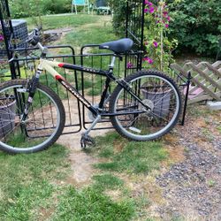 Schwann 9-Speed Mountain Bike 