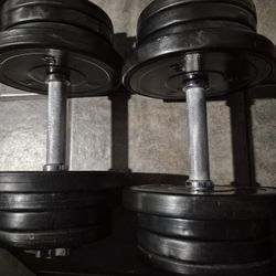 30lbs Dumbells Weights 