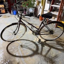 Panasonic Tourist 1C Cruiser – Vintage Maroon Bike