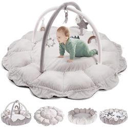 5 In 1 Play Gym For Baby