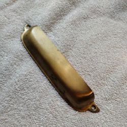 Solid Polished Brass Exposed Shell,Bin 7" L × 1-1/4" H,Salvage.