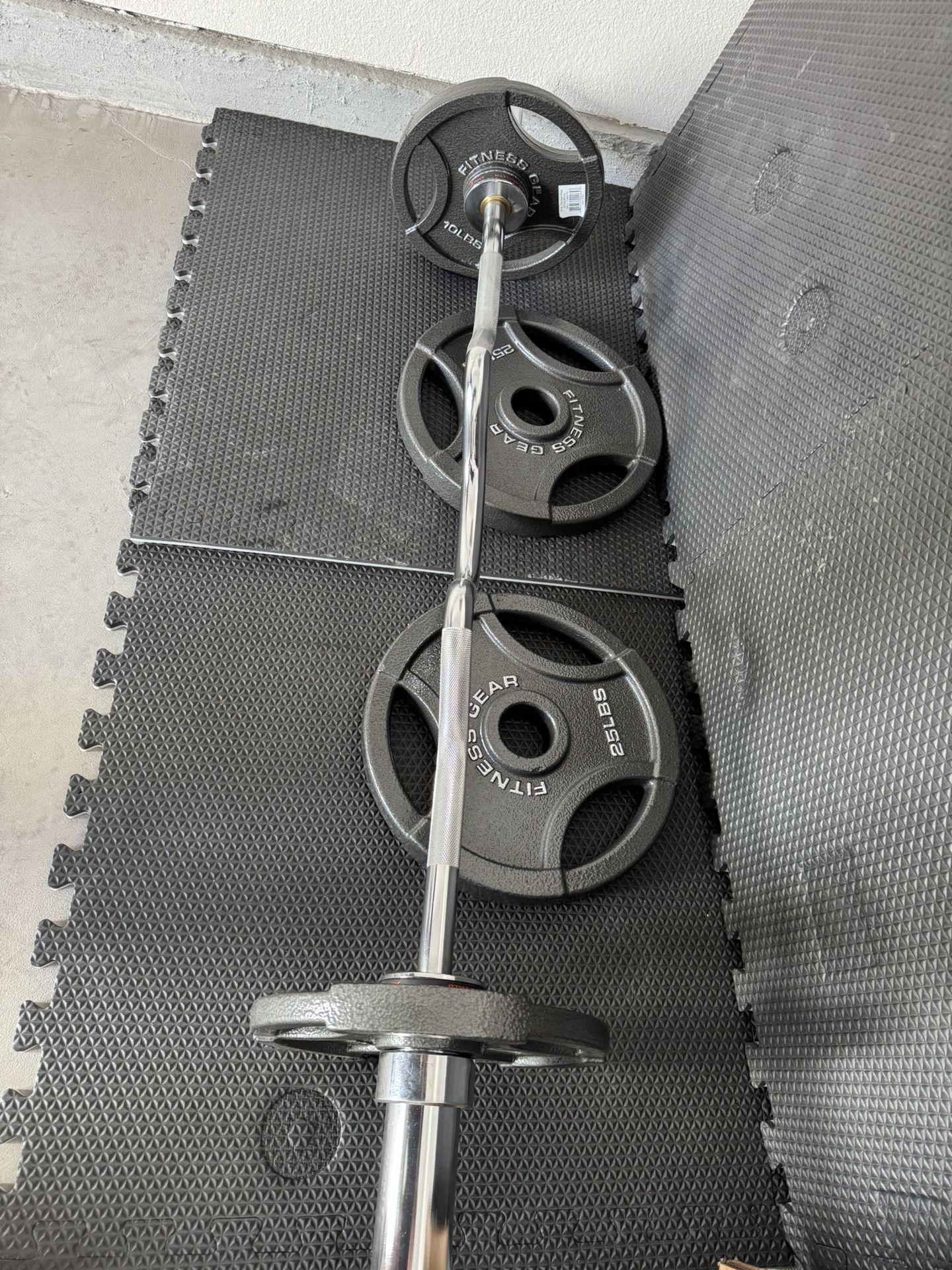 Curling Bar And Plates. MUST GO