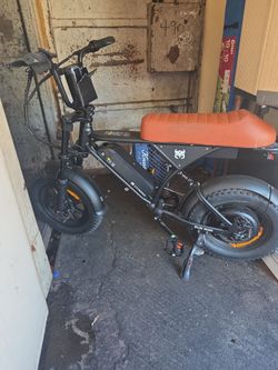 Electric Bike