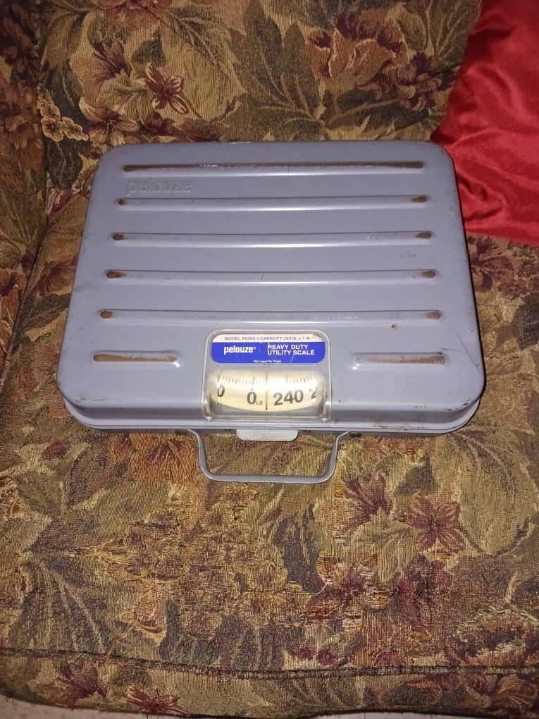 Heavy Weight Scale  250lb Capacity For $15