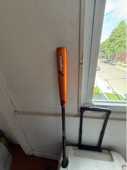 Fungo Baseball