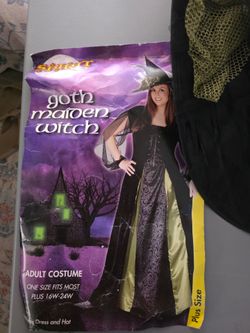 Witch costume adult plus size