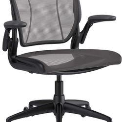 Humanscale Diffrient World Office Task Desk Chair - Adjustable Duron Arms - Black Frame Graphite Pinstripe Back and Seat Mesh W11BN03N03 - Carpet Cast