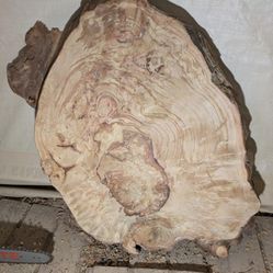 Old Growth Fir Burl Slabs