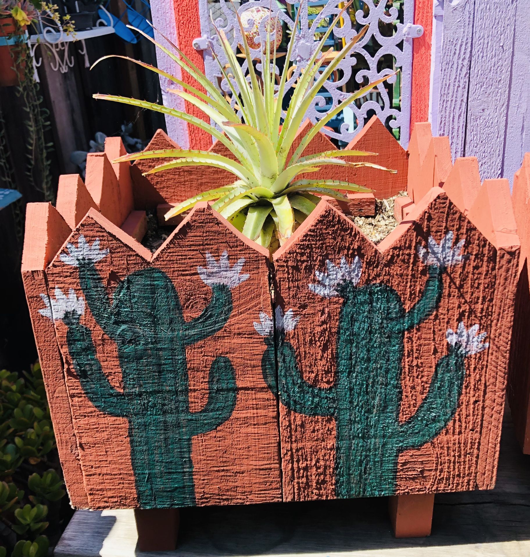 PLANTERS WITH PLANTS